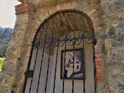 Sentieri fioriti sopra casa ad anello-Zogno-28mar22 - FOTOGALLERY